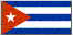 Embassy Flag